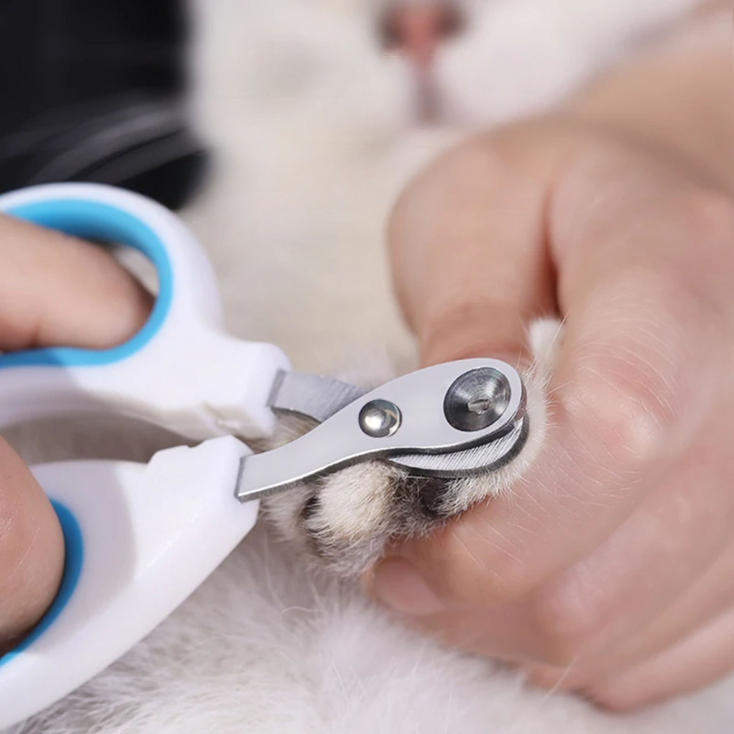 Pet Nail Clippers